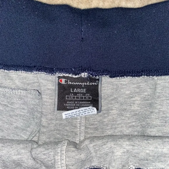 Champion fuzzy Sweatpants.