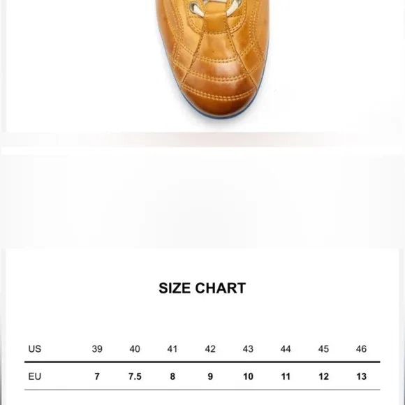 Cycleur Deluxe Mens Cycling Shoes. Size 42 (size 9)