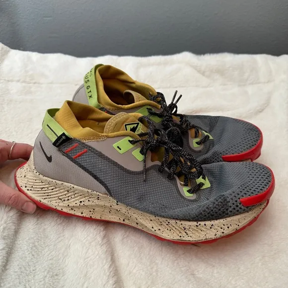Nike pegasus trail 2 GTX shoes