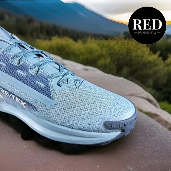 Nike Pegasus Trail 5 GORE-TEX Smokey Blue Light Silver FQ0908-005 - Men's Sz 12