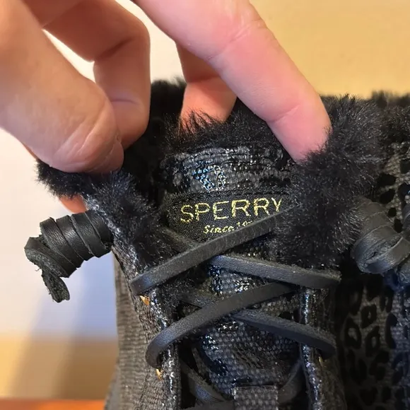 Sperry Crest Vibe Canvas High Top Sneaker