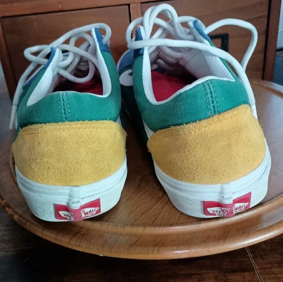 Vans Multicolor Skate Shoes_8