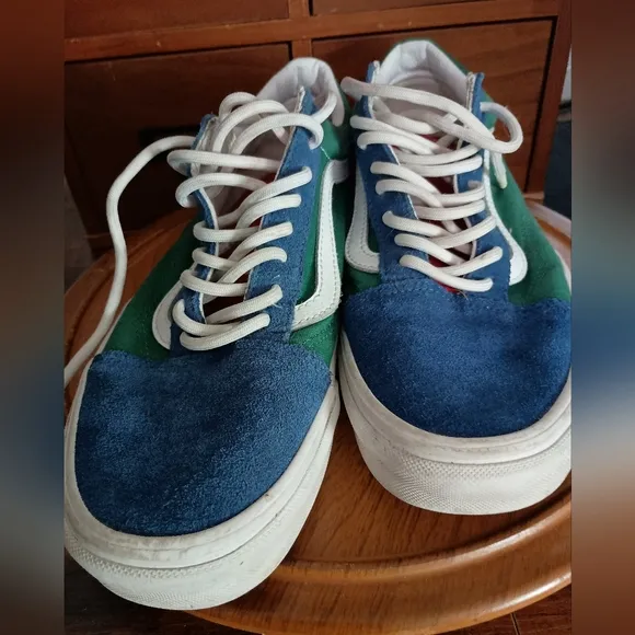 Vans Multicolor Skate Shoes_8